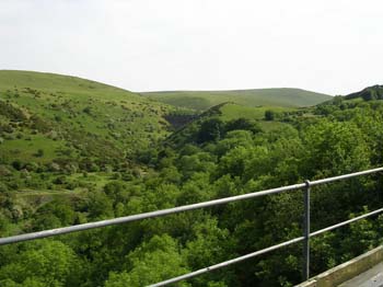 DSCN0446