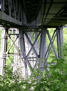 DSCN0449