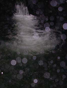 DSCN0458