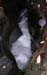 DSCN0460